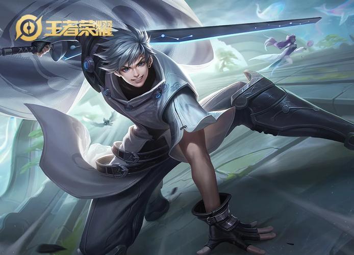 方案